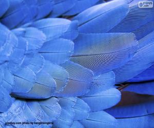 Puzzle Μπλε φτερά Macaw
